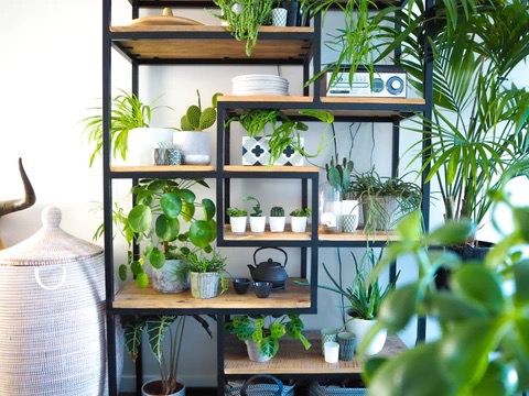 5 Lợi Ích Của Máy Tạo Độ Ẩm Trong Mùa Cảm Cúm 11 5 Lợi Ích Của Máy Tạo Độ Ẩm Mùa Cảm Cúm