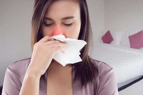 5 Lợi Ích Của Máy Tạo Độ Ẩm Trong Mùa Cảm Cúm 7 5 Lợi Ích Của Máy Tạo Độ Ẩm Trong Mùa Cảm Cúm