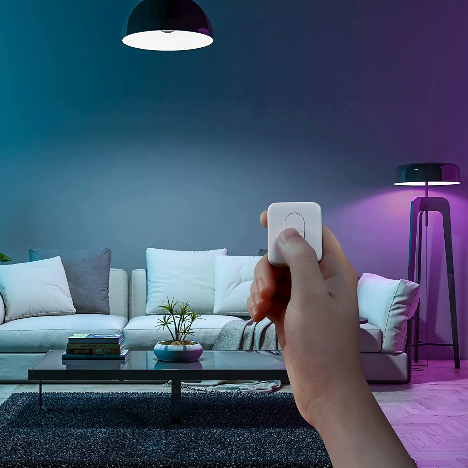 Điều Khiển Từ Xa Switchbot Remote 9 Điều Khiển Từ Xa Switchbot Remote