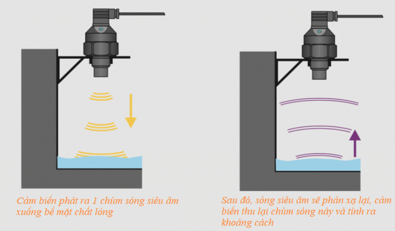 Cảm Biến Chuyển Động Là Gì? Nguyên Lý &Amp; Ứng Dụng Phổ Biến 22 Cảm Biến Sóng Siêu Âm