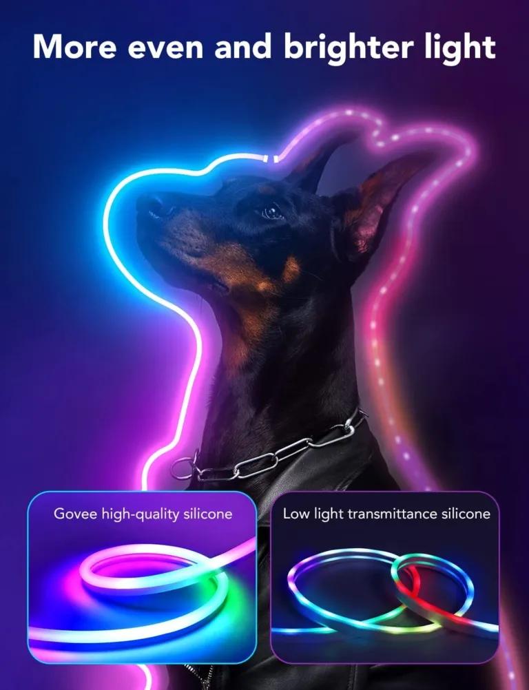 Đèn LED chống nước Govee Neon LED Strip Light | AKIA