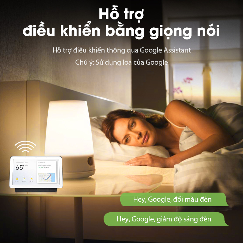 Bóng Đèn Acome 12W Bóng Đèn Acome 12W