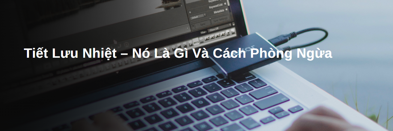 Tiết Lưu Nhiệt – Nó Là Gì Và Cách Phòng Ngừa 3 Tiết Lưu Nhiệt – Nó Là Gì Và Cách Phòng Ngừa
