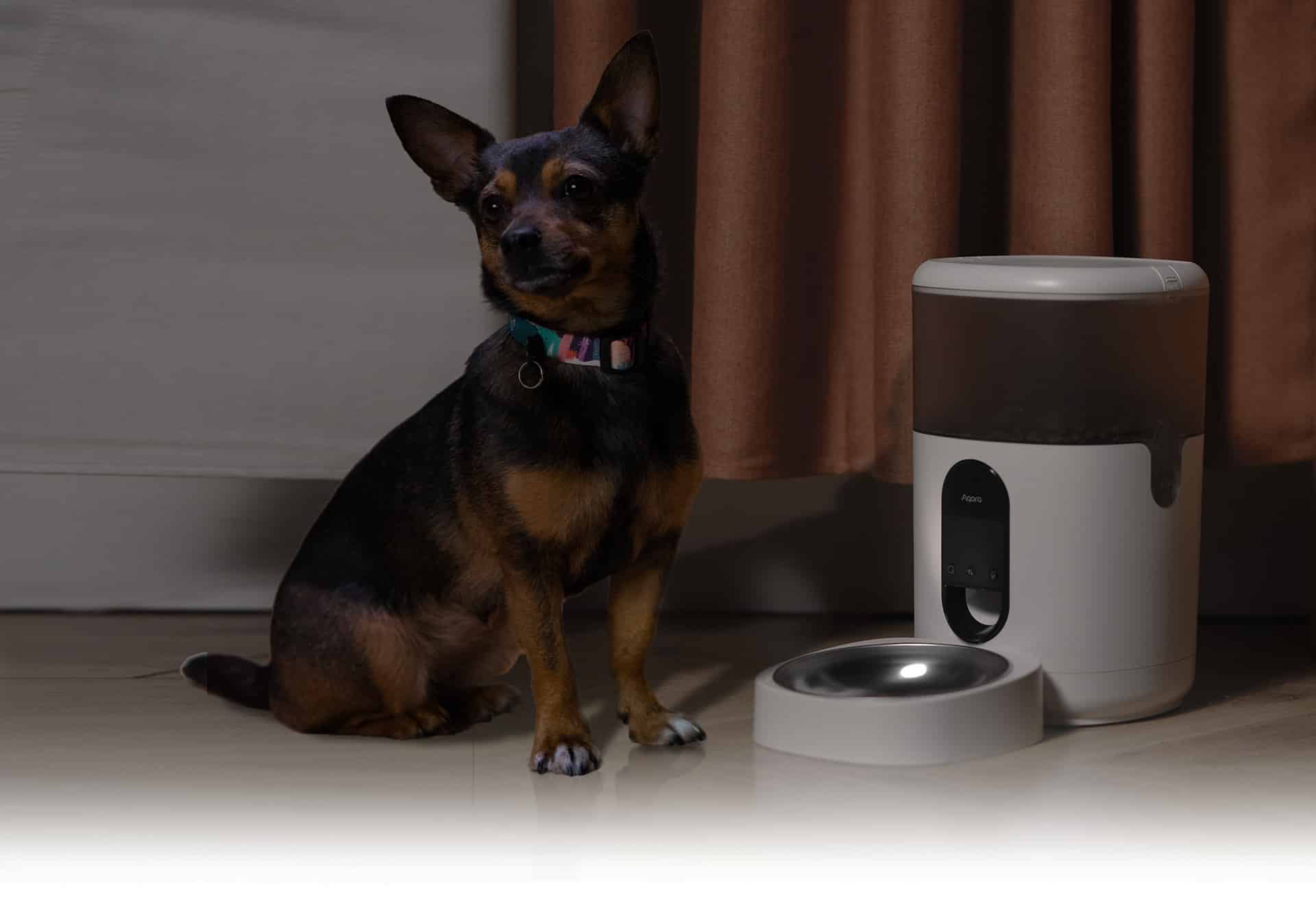 Máy Cho Chó Mèo Ăn Aqara Smart Pet Feeder C1 8 Máy Cho Chó Mèo Ăn Aqara Smart Pet Feeder C1 - Akia Smart Home
