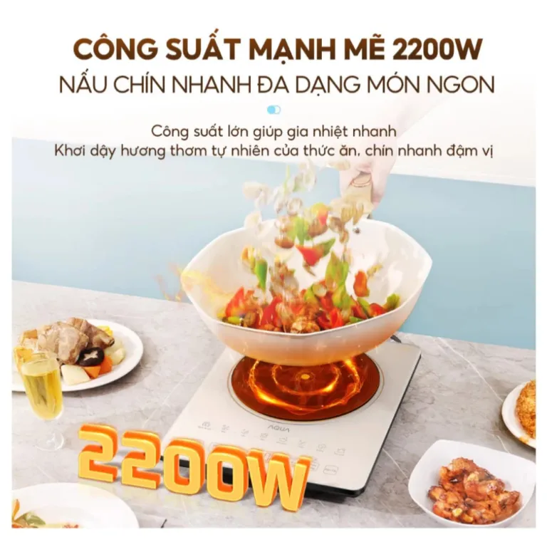 Bếp điện từ AQUA AQS-ICT2201R(C)-VN