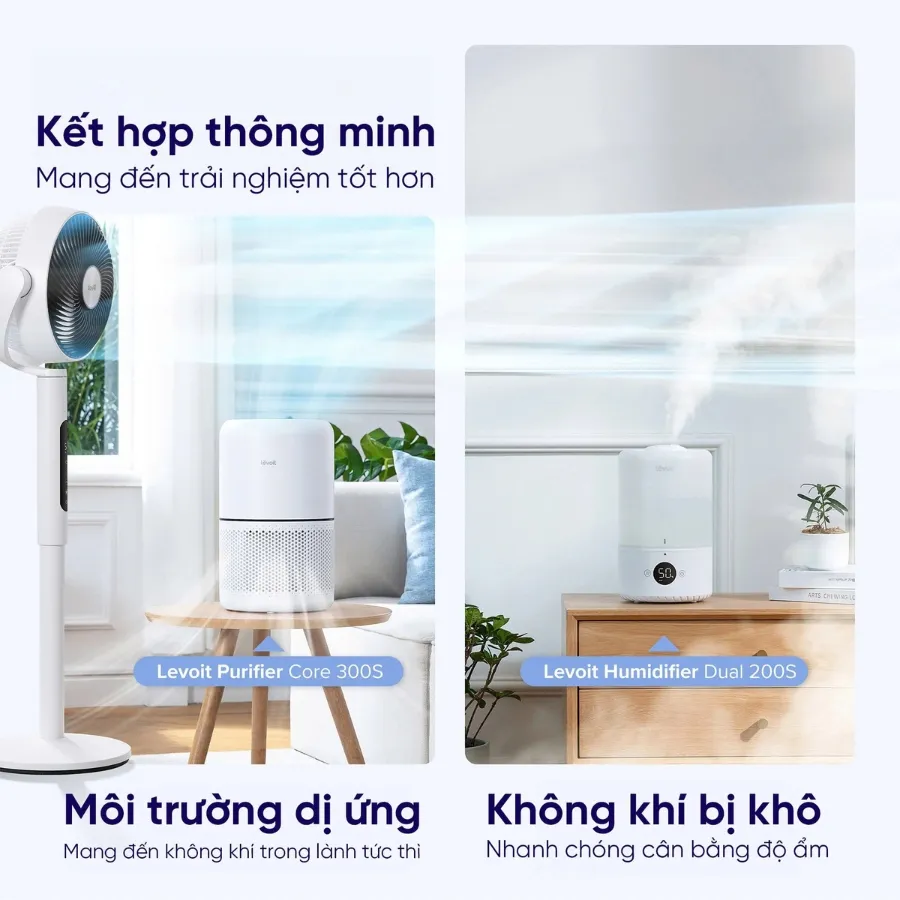 Quạt Tuần Hoàn Không Khí Levoit Circulair 22.9Cm 12 Quạt Tuần Hoàn Không Khí Levoit Circulair