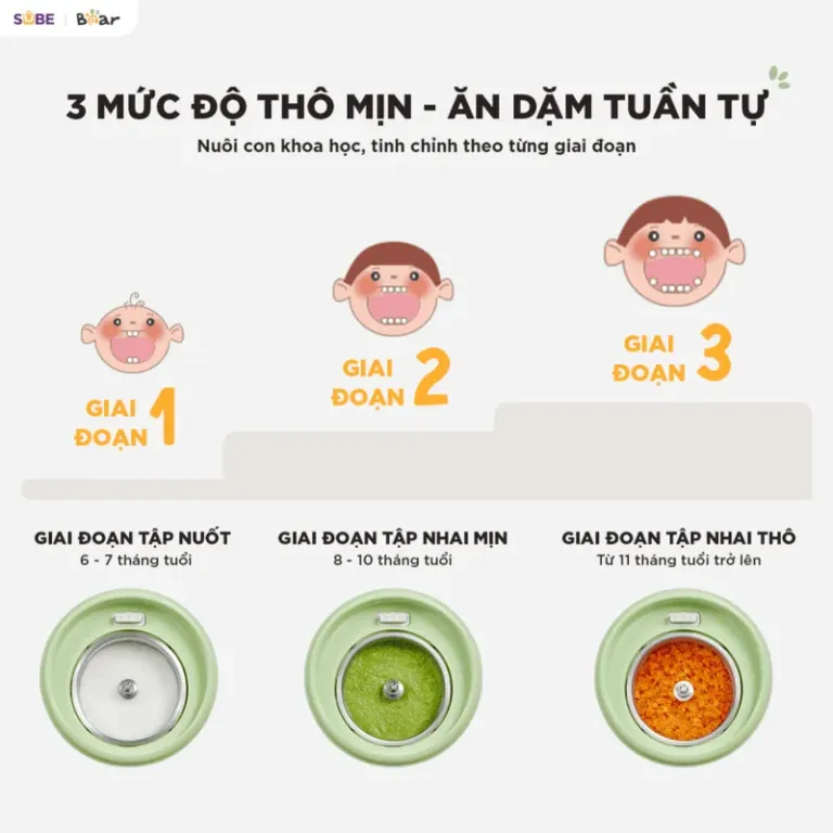 Máy xay nấu thức ăn 0.35L Bear BFM-045KN | AKIA