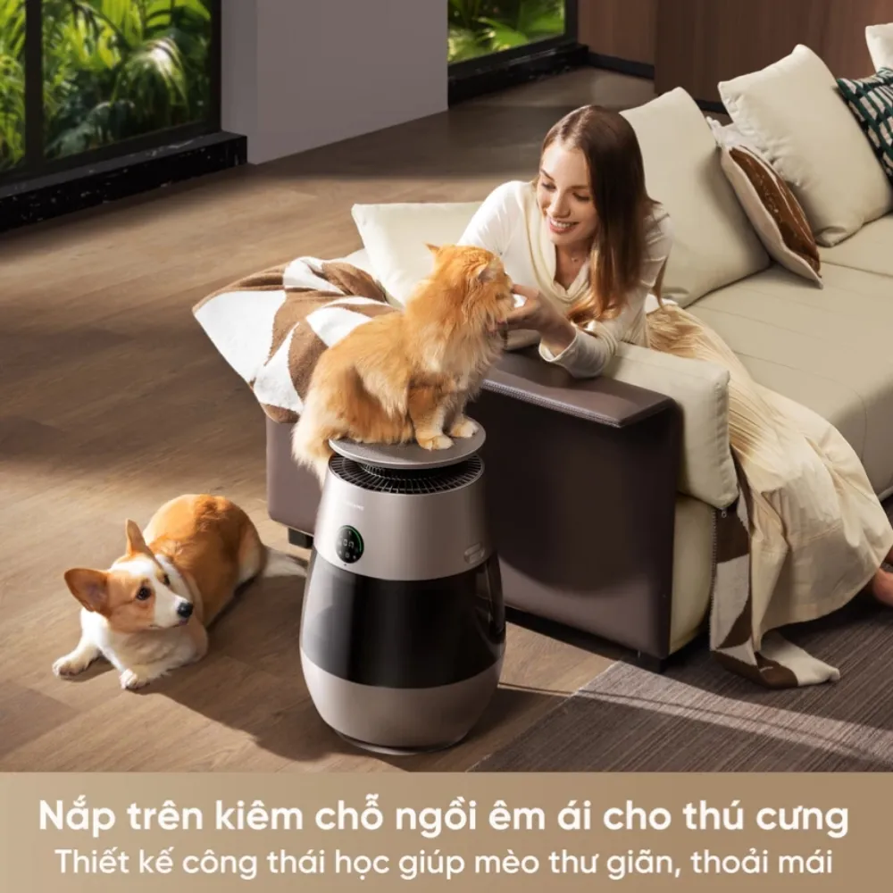 Máy Lọc Không Khí Dreame Ap10 18 Máy Lọc Không Khí Cho Thú Cưng Dreame Ap10 - Akia Smart Home