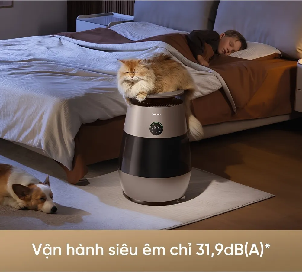 Máy Lọc Không Khí Dreame Ap10 19 Máy Lọc Không Khí Cho Thú Cưng Dreame Ap10 - Akia Smart Home