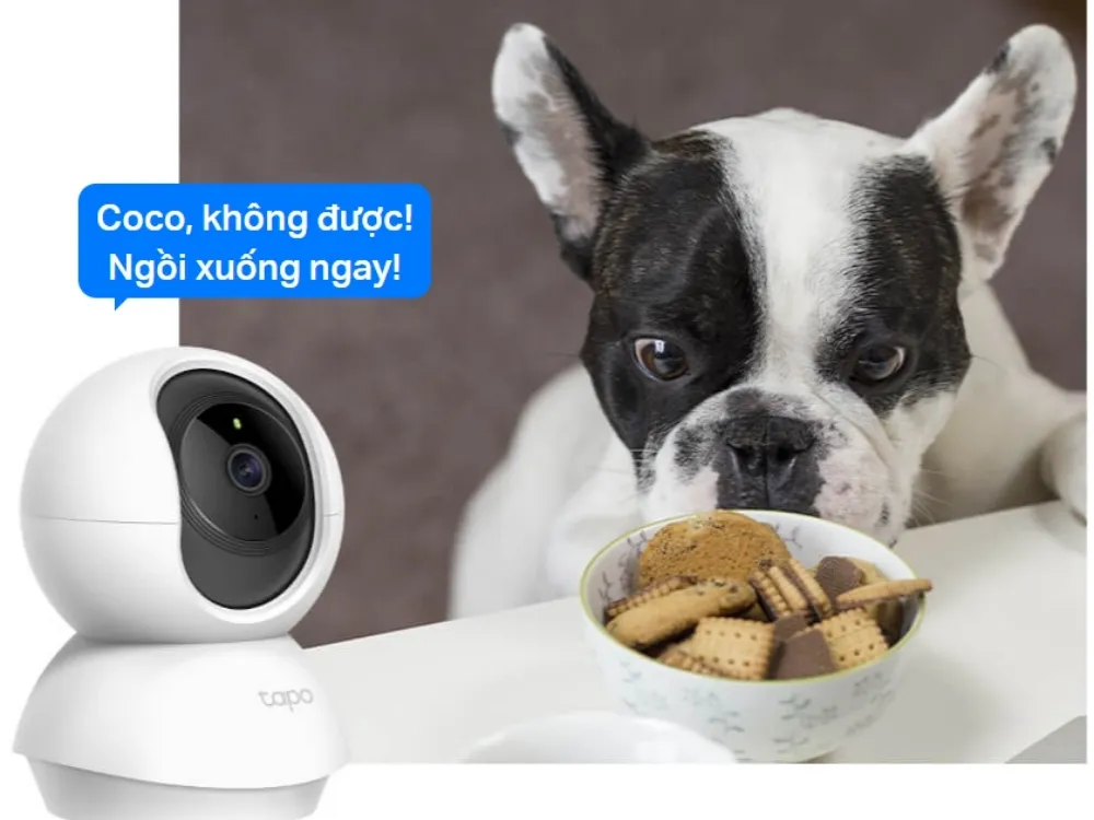 Camera Wifi An Ninh Trong Nhà Tapo Tc71 - Akia Smart Home
